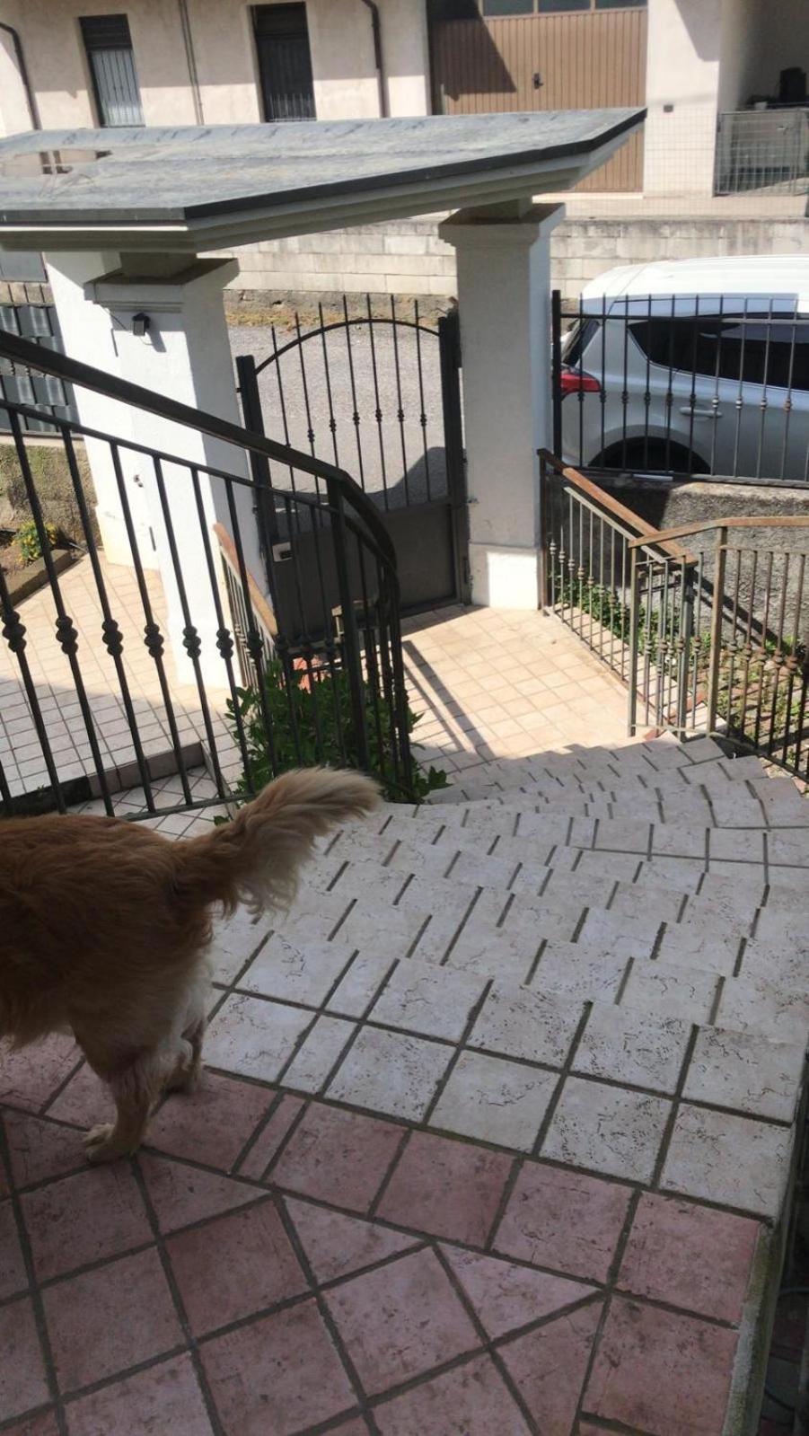 Bb La Collina Botticino Bed & Breakfast Botticino Sera ภายนอก รูปภาพ